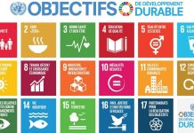 Forum Politique de Haut Niveau à New York: L’expertise de Social Watch Bénin dans le suivi des ODD saluée